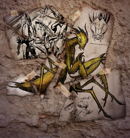 Богомол рисунок