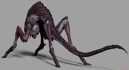 Метрономикон арахниды