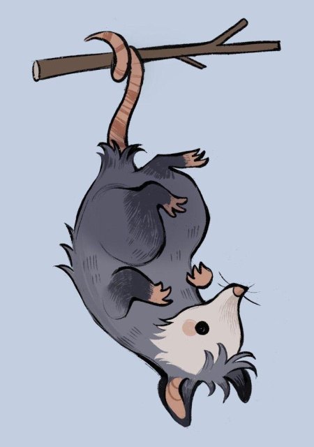 Животные рисунки милые