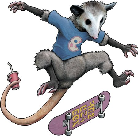 Опоссум рисунок