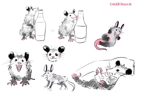 Опоссум рисунок