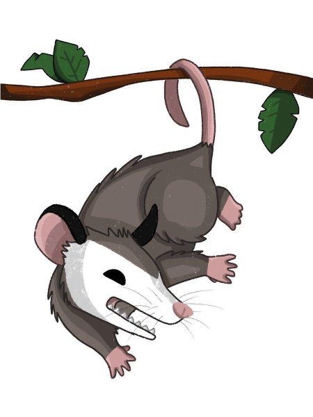 Опоссум вектор