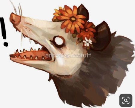 Опоссум рисунок