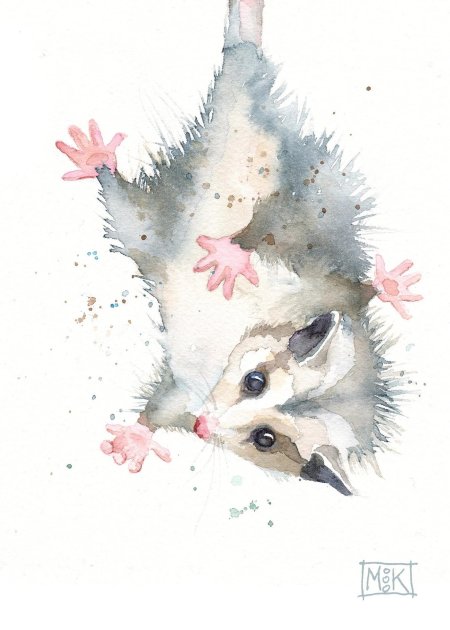 Акварель животные