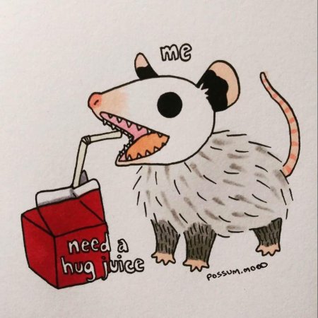 Опоссум арт