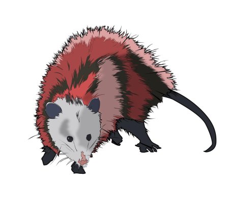Опоссум мультяшный