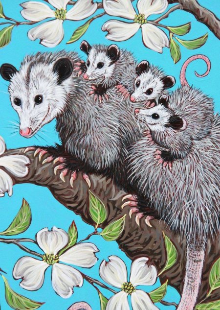 Опоссум рисунок