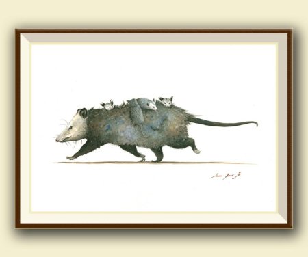 Опоссум акварелью