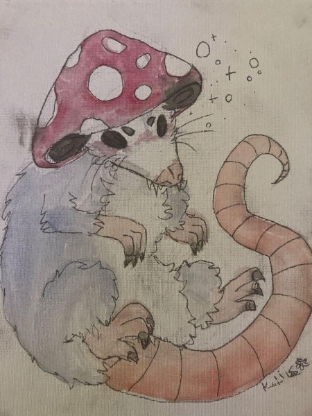 Крыса рисунки