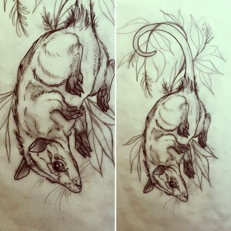 Тату крыса эскиз