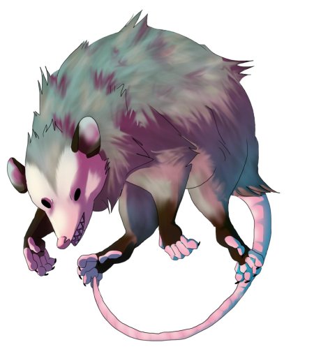 Опоссум фурсона