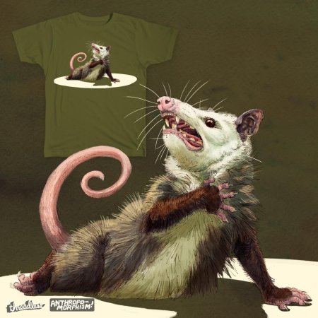 Опоссум анатомия