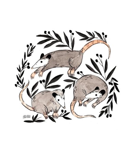 Ледниковый период опоссум