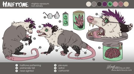 Опоссум фурри референс