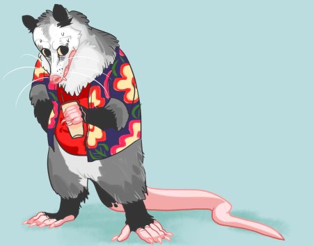 Фурри опоссум