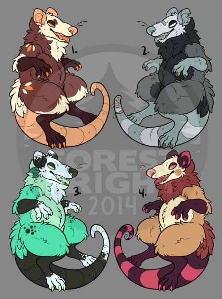 Опоссум фурри референс