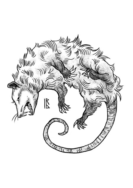 Эскиз животного