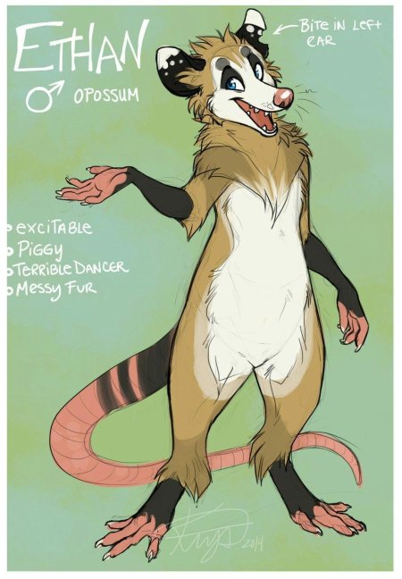 Опоссум фурсона