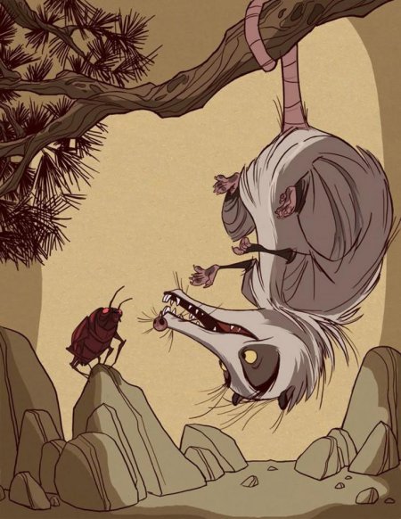 Животные иллюстрации