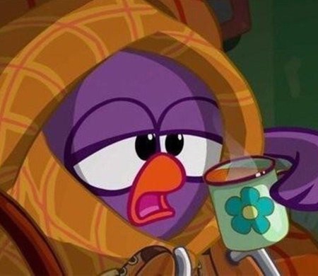 Из смешариков совунья