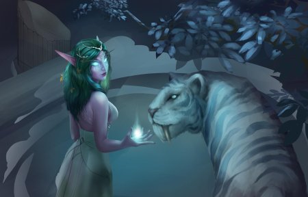 Ночная эльфийка тиранда шелест ветра