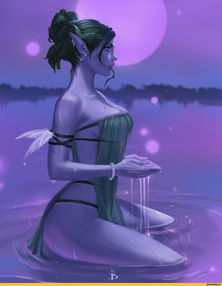 Ночные эльфы тиранда 18