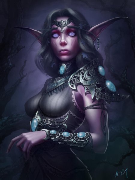 Ночные эльфийки