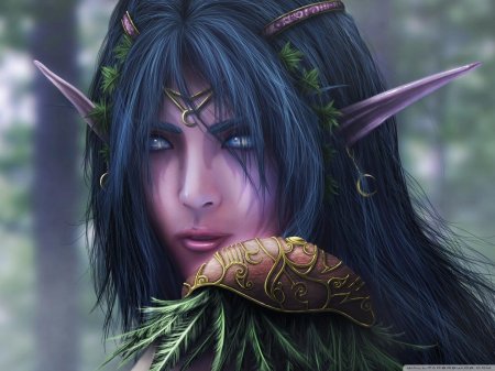 Варкрафт эльфы