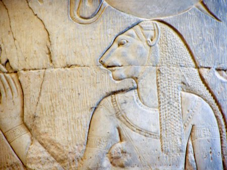 Древний египет кошки фрески