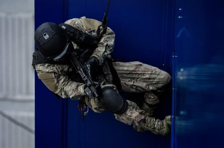 Собр рысь цсн