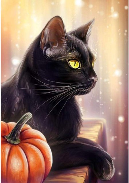 Хэллоуинские коты воители