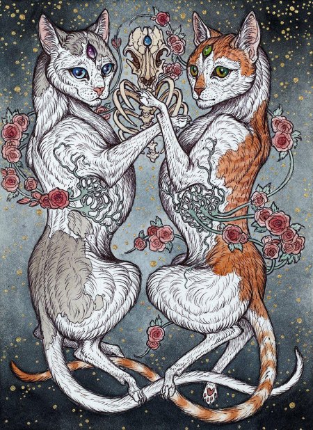 Caitlin hackett животные