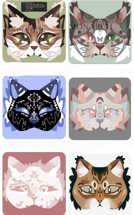 Идеи маски для квадробики кошка