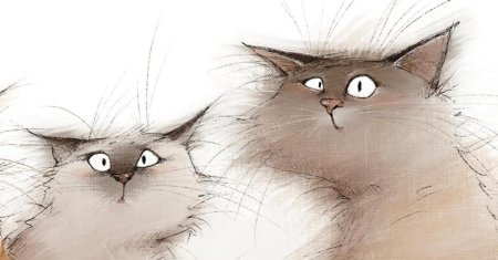 Иллюстрация кот