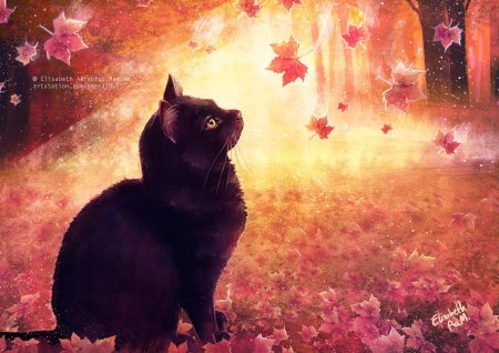 Осень кот