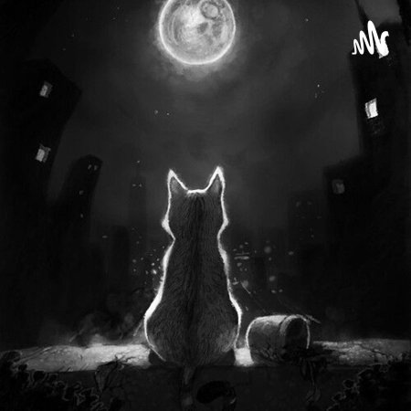 Одинокий кот