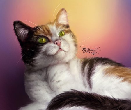 Трëхцветная кошка