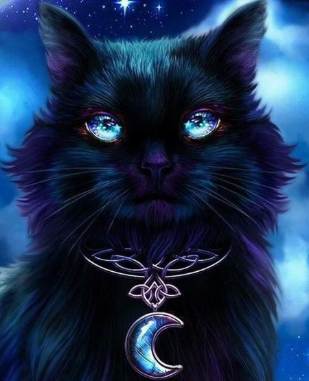 Магическая кошка