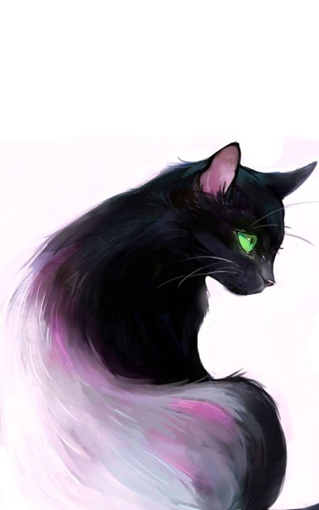 Черный кот арт