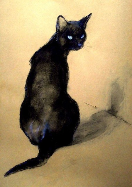 Черный кот ориентал