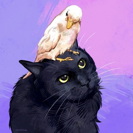 Попугай арт