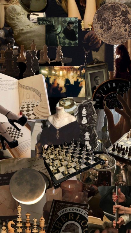 Шахматы эстетика