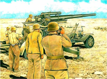 Африканский копус роммеля