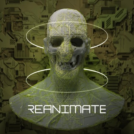 Анатомия голова