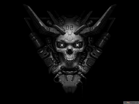 Кибер череп