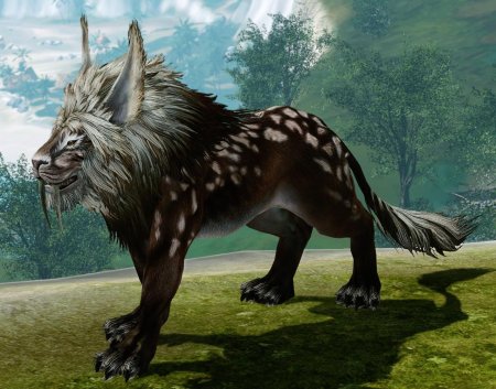 Степной лев архейдж