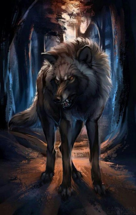 Волки фэнтези