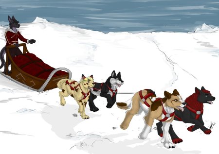 Собачьи упряжки хаски