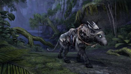 The elder scrolls online ездовые животные