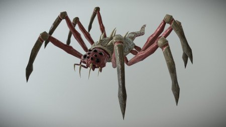 Арахнид звездный десант